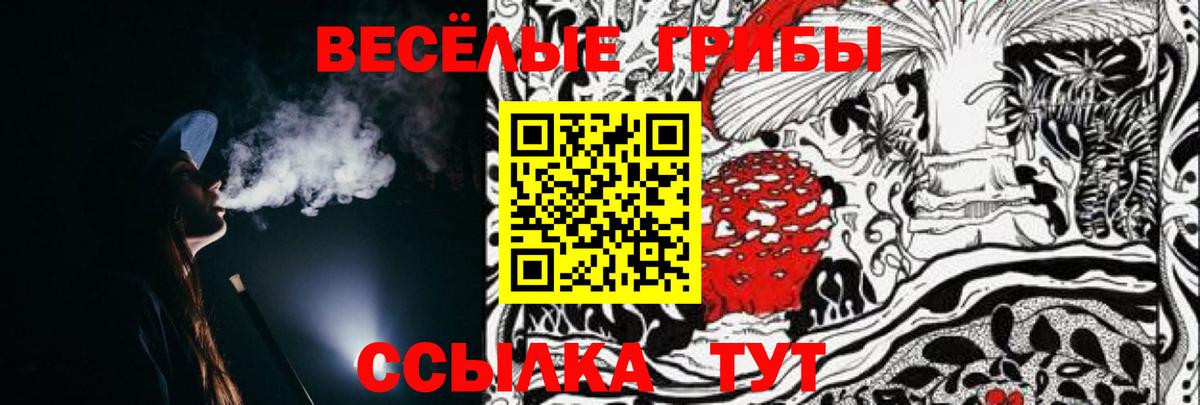 Михайловск  Галлюциногенные грибы мухоморы  Вход с VPN 