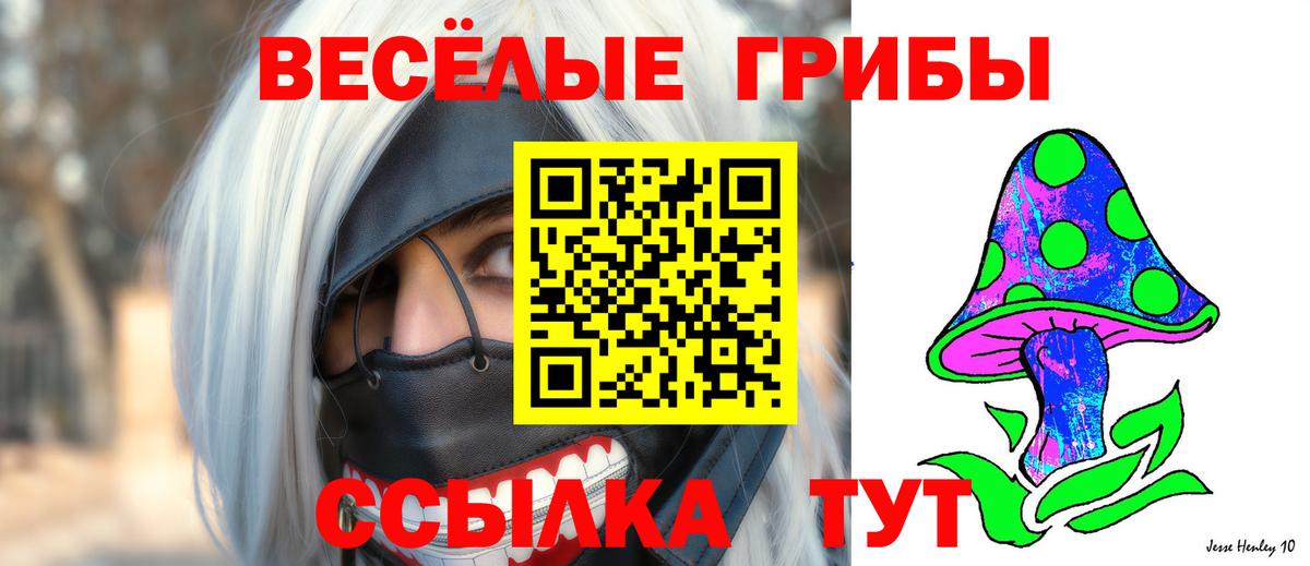 Псилоцибиновые грибы мухоморы Михайловск